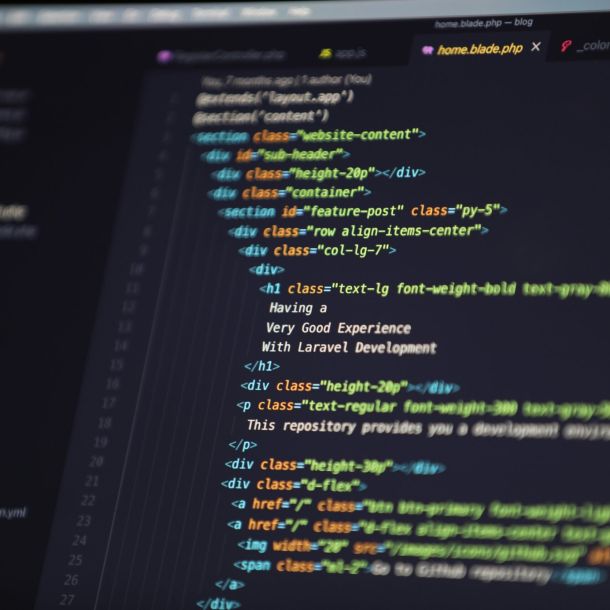 Sviluppatore programmazione WordPress sito web